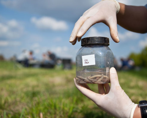 Standard methods for the assessment of structural and functional diversity of soil organisms