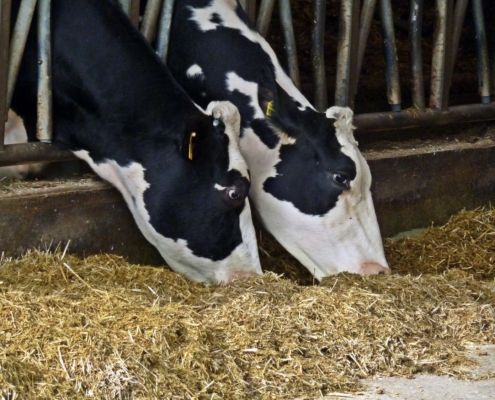 Publication on validation of a method to determine transformation of chemicals in manure