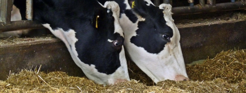 Publication on validation of a method to determine transformation of chemicals in manure