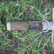 Soil biodiversity baseline survey (BioDive4Soil)